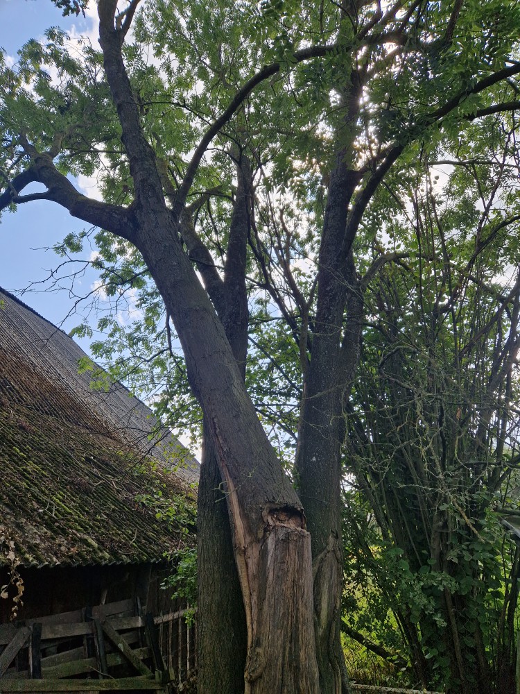 Wald-wirtschaftswege-pflege von WendenAgrar